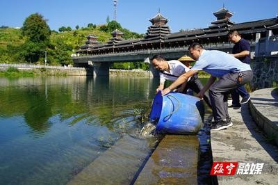 家里養哪種龜可以旺財：不宜養龜的4個屬相