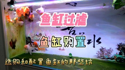 家里養的一條魚死了預示著什么：家里養的一條魚死了預示著什么意思