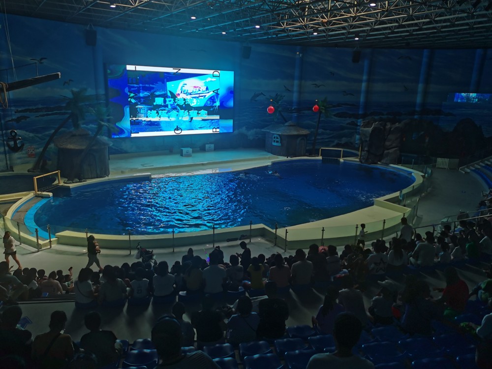 周口水族館vs祥龍魚場（周口水族館和祥龍魚場）