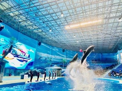 周口水族館vs祥龍魚場（周口水族館和祥龍魚場）