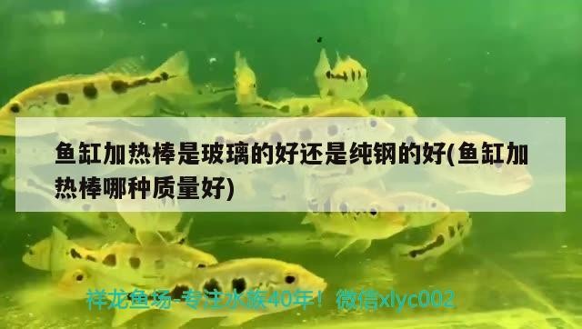 魚缸加熱棒是玻璃的好還是純鋼的好(魚缸加熱棒哪種質量好)