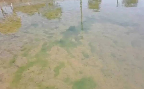 家里放菩薩的害處：家里供菩薩等于供鬼