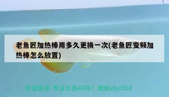 老魚匠加熱棒用多久更換一次(老魚匠變頻加熱棒怎么放置) 老魚匠加熱棒用多久更換一次(老魚匠變頻加熱棒怎么放置) 老魚匠