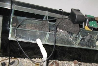 創(chuàng)寧水泵廠家電話地址是多少（創(chuàng)寧水泵廠家電話地址是多少號(hào)）