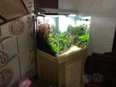 60 魚缸：60公分魚缸的尺寸和重量