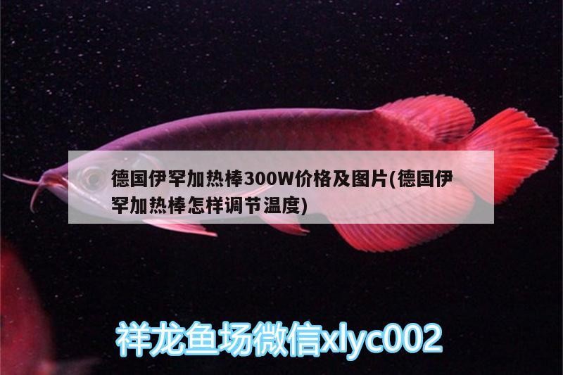 德國(guó)伊罕加熱棒300W價(jià)格及圖片(德國(guó)伊罕加熱棒怎樣調(diào)節(jié)溫度)