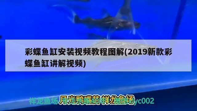 彩蝶魚缸安裝視頻教程圖解(2019新款彩蝶魚缸講解視頻) 彩蝶魚缸安裝視頻教程圖解(2019新款彩蝶魚缸講解視頻) iwish愛唯希品牌魚缸