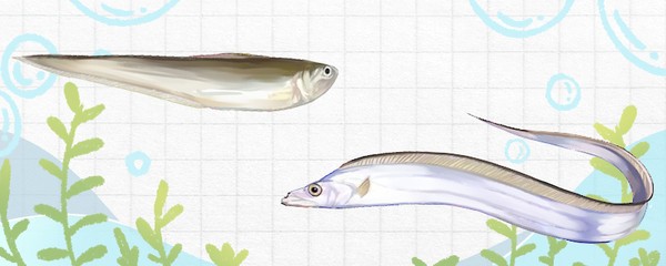 鯽魚零下幾度凍死：鯽魚零下幾度凍死最好