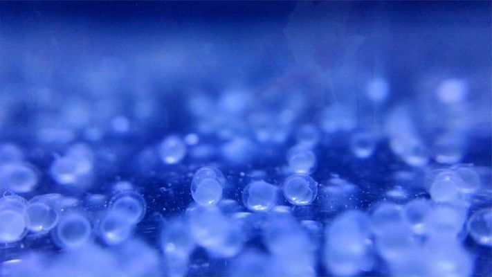 鯽魚對水質要求高嗎：鯽魚對水質要求高嗎為什么 鯽魚對水質要求高嗎：鯽魚對水質要求高嗎為什么 龍魚百科 第3張