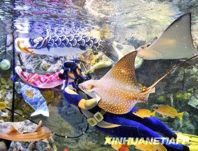 孝感水族館vs祥龍魚場（孝感水族館和祥龍魚場各有特點，選擇哪一個取決于您的興趣和需求）