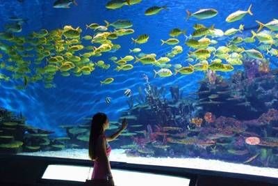 孝感水族館vs祥龍魚場（孝感水族館和祥龍魚場各有特點，選擇哪一個取決于您的興趣和需求）