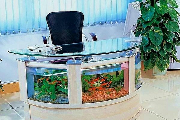 中國十大高端魚缸品牌排行榜（中國十大高端魚缸品牌排行榜有可麗愛）