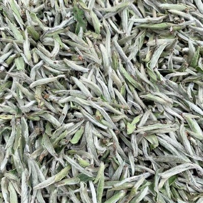 黃鱔怎么養(yǎng)殖方法和技巧：養(yǎng)黃鱔的10個忠告