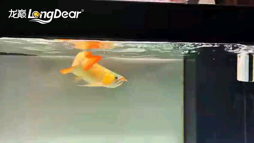 轉(zhuǎn)發(fā)550