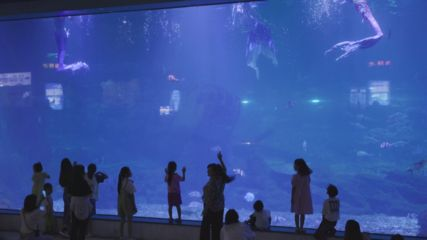 三明水族館vs祥龍魚場(chǎng)（三明水族館和祥龍魚場(chǎng)）