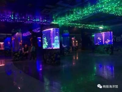 三明水族館vs祥龍魚場(chǎng)（三明水族館和祥龍魚場(chǎng)）