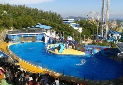三明水族館vs祥龍魚場(chǎng)（三明水族館和祥龍魚場(chǎng)）