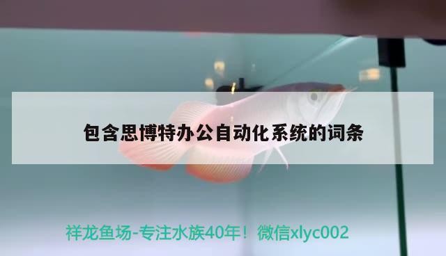 包含思博特辦公自動(dòng)化系統(tǒng)的詞條