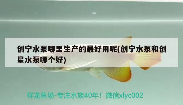 創寧水泵哪里生產的最好用呢(創寧水泵和創星水泵哪個好)