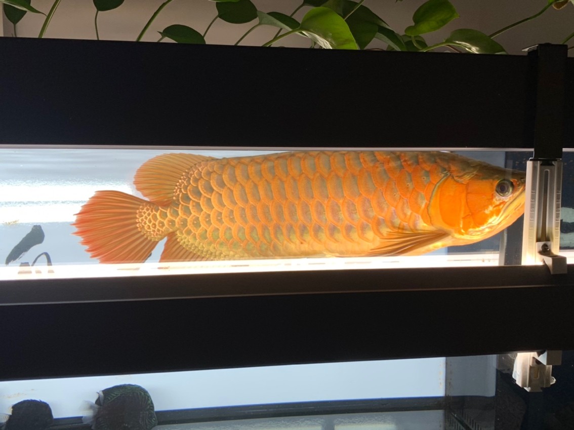 更新一下！越來越懶了。