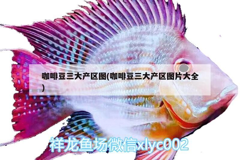 咖啡豆三大產區圖(咖啡豆三大產區圖片大全) 咖啡豆三大產區圖(咖啡豆三大產區圖片大全) 馬來西亞咖啡