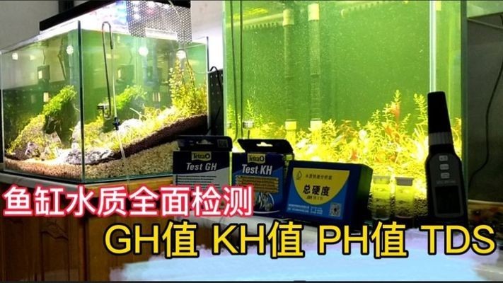 可麗愛魚缸配什么牌子的水泵好（可麗愛魚缸配什么牌子的水泵好用）