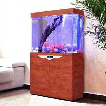 jingjing魚缸怎么買：jingjing品牌的魚缸購買jingjing魚缸怎么買魚缸