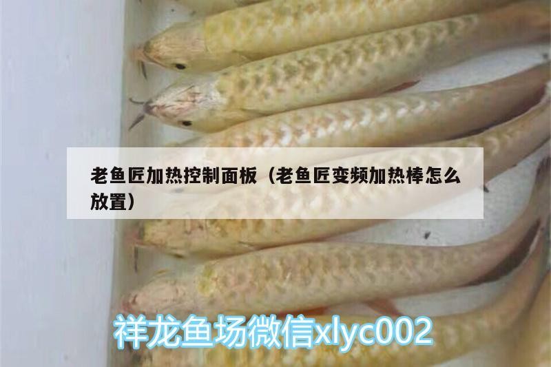 老魚(yú)匠加熱控制面板（老魚(yú)匠變頻加熱棒怎么放置）