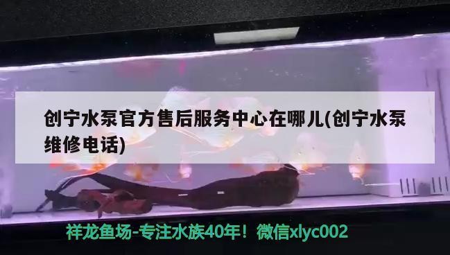 創(chuàng)寧水泵官方售后服務(wù)中心在哪兒(創(chuàng)寧水泵維修電話)