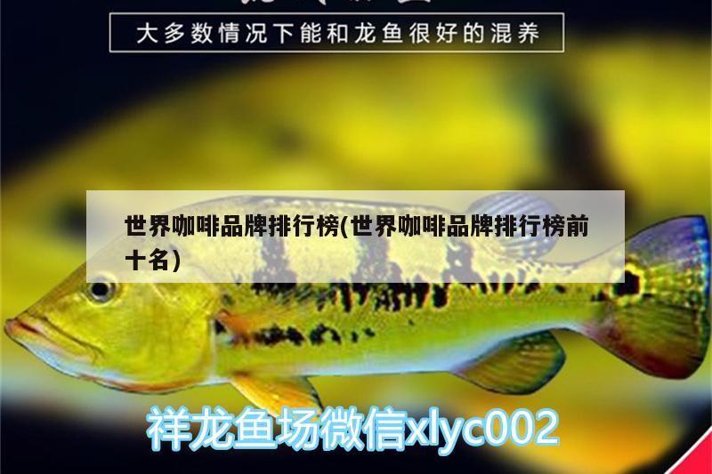世界咖啡品牌排行榜(世界咖啡品牌排行榜前十名) 世界咖啡品牌排行榜(世界咖啡品牌排行榜前十名) 馬來西亞咖啡