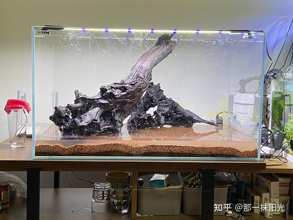 80公分高的魚缸造景圖片及價(jià)格：80公分高的魚缸造景圖片價(jià)格是多少？