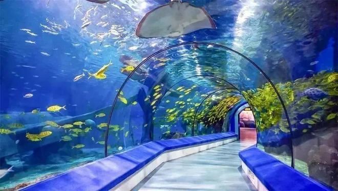 潮州水族館vs祥龍魚場（潮州水族館和祥龍魚場）