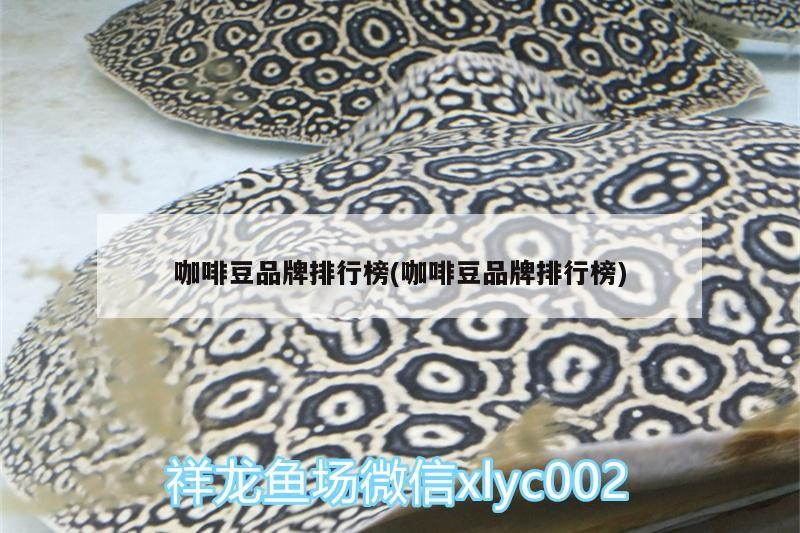 咖啡豆品牌排行榜(咖啡豆品牌排行榜)