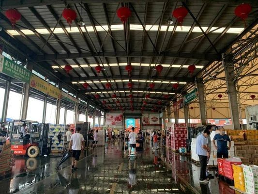 黔西南布依族苗族自治州龍魚vs祥龍魚場（貴州黔西南布依族苗族自治州龍魚市場和祥龍魚場各有特點）