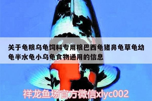 詳細(xì)閱讀:關(guān)于龜糧烏龜飼料專用糧巴西龜豬鼻龜草龜幼龜半水龜小烏龜食物通用的信息 關(guān)于龜糧烏龜飼料專用糧巴西龜豬鼻龜草龜幼龜半水龜小烏龜食物通用的信息