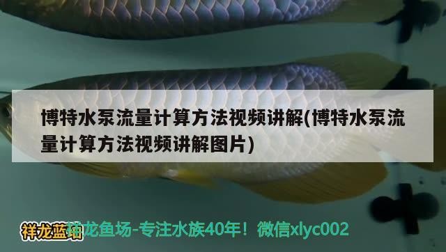 博特水泵流量計(jì)算方法視頻講解(博特水泵流量計(jì)算方法視頻講解圖片)