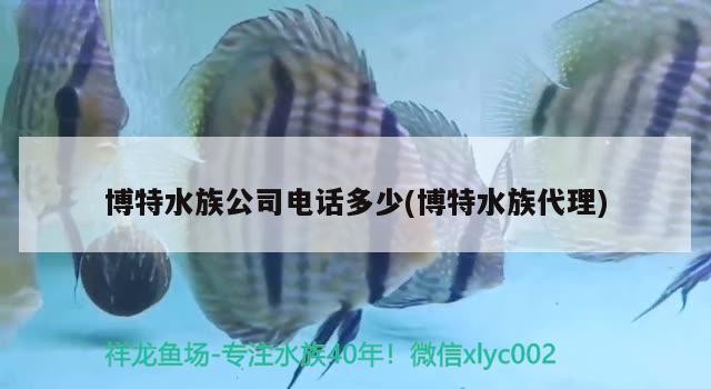 博特水族公司電話多少(博特水族代理)