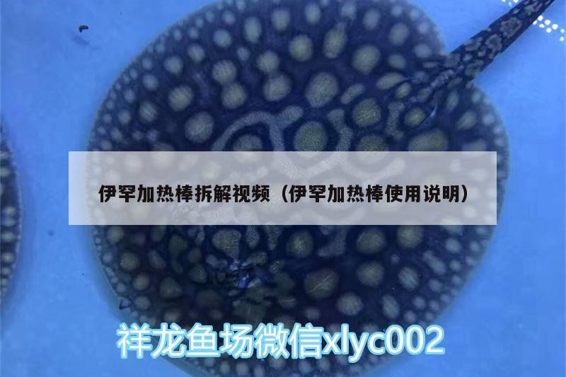 伊罕加熱棒拆解視頻（伊罕加熱棒使用說明） 伊罕加熱棒拆解視頻（伊罕加熱棒使用說明） 伊罕水族