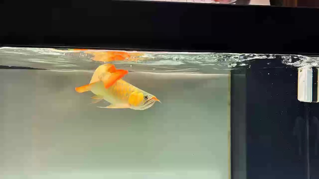 國慶廣東降溫