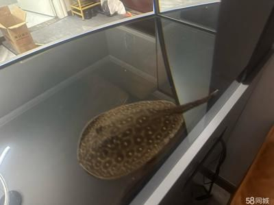 博特魚缸廠家聯(lián)系方式：博特魚缸廠家聯(lián)系方式，
