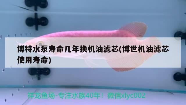 博特水泵壽命幾年換機(jī)油濾芯(博世機(jī)油濾芯使用壽命)