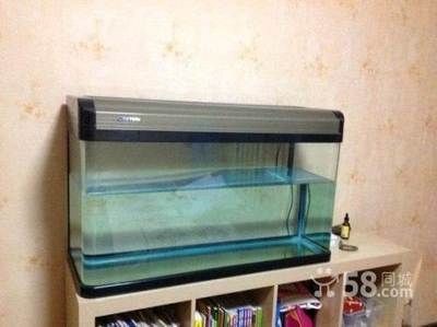 100魚缸過濾：100魚缸過濾系統選擇 100魚缸過濾：100魚缸過濾系統選擇 魚缸百科 第2張