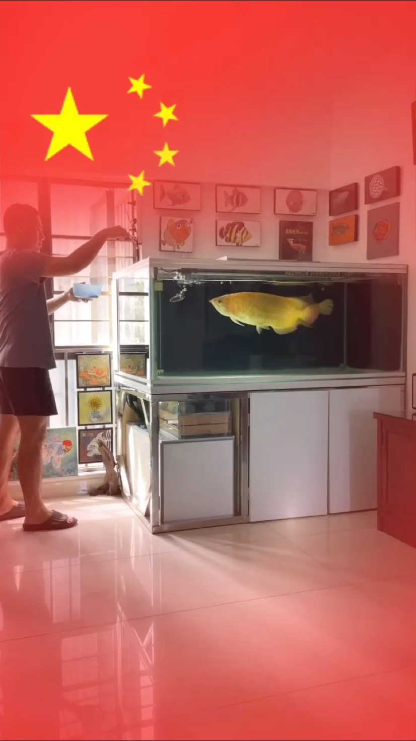 魚缸用增氧泵價格是多少:魚缸增氧機-xtrac增氧機-xtrac增氧機 國慶加餐! 龍魚論壇 國慶加餐! 國慶加餐! 龍魚論壇