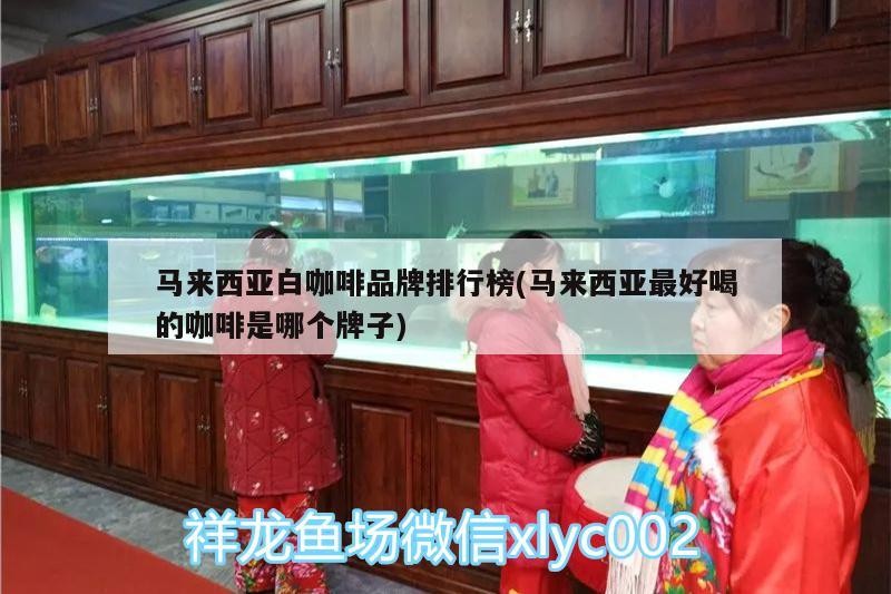 馬來西亞白咖啡品牌排行榜(馬來西亞最好喝的咖啡是哪個(gè)牌子)