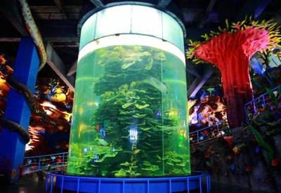 招財金龍魚多少錢一條圖片大全視頻大全視頻大全視頻大全，招財金龍魚多少錢一條圖片大全視頻