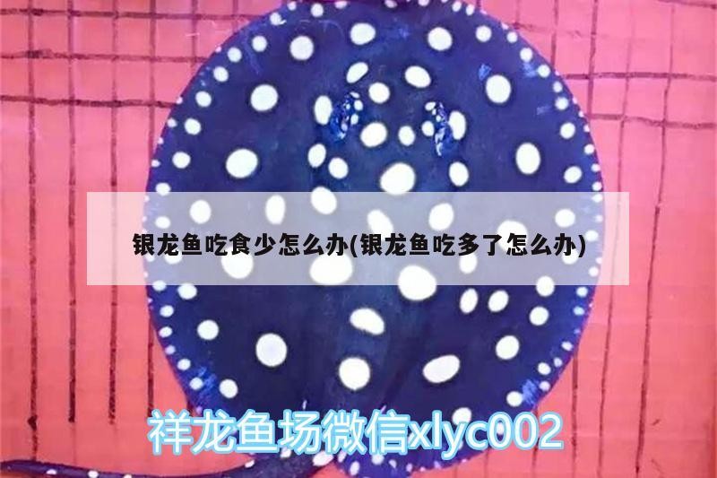 銀龍魚(yú)吃食少怎么辦(銀龍魚(yú)吃多了怎么辦) 銀龍魚(yú)吃食少怎么辦(銀龍魚(yú)吃多了怎么辦) 銀龍魚(yú)百科
