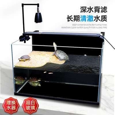 虎魚要多大缸：飼養虎魚需要多大缸 虎魚要多大缸：飼養虎魚需要多大缸 虎魚百科 第1張