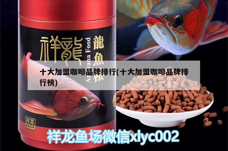 魚缸過濾器選購指南:自制魚缸過濾器魚缸上置過濾器對于養魚愛好者的必備知識 十大加盟咖啡品牌排行(十大加盟咖啡品牌排行榜) 馬來西亞咖啡 十大加盟咖啡品牌排行(十大加盟咖啡品牌排行榜) 十大加盟咖啡品牌排行(十大加盟咖啡品牌排行榜) 馬來西亞咖啡