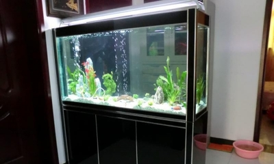 九江哪里有賣魚缸的實體店啊圖片大全（九江哪里有賣魚缸的實體店啊圖片大全集）