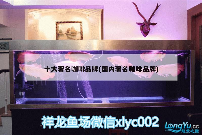 魚缸過濾器選購指南:自制魚缸過濾器魚缸上置過濾器對于養魚愛好者的必備知識 十大著名咖啡品牌(國內著名咖啡品牌) 馬來西亞咖啡 十大著名咖啡品牌(國內著名咖啡品牌) 十大著名咖啡品牌(國內著名咖啡品牌) 馬來西亞咖啡
